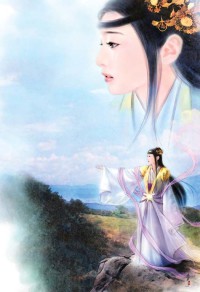 海贼之无敌仙火系统