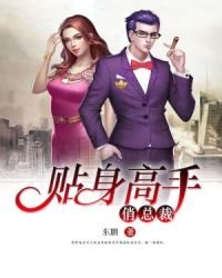 貼身高手俏總裁