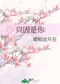 只因是你